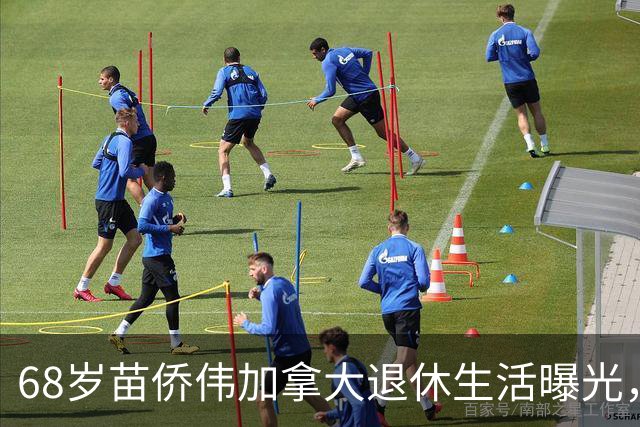 68岁苗侨伟加拿大退休生活曝光，遛狗赏花好惬意，两鬓花白仍健硕